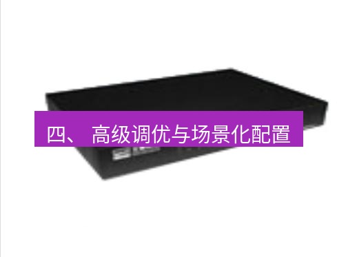 快连VPN 四、 高级调优与场景化配置