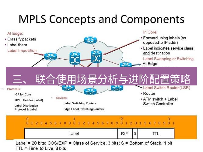 快连VPN 三、 联合使用场景分析与进阶配置策略